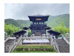 -大唐贡茶院
