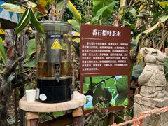 -呀路古热带植物园