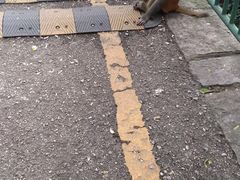 -黔灵山公园-南门售票处