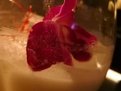 -STARRY CAFE & LOUNGE BAR(高新店)