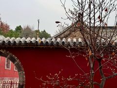 -泰山风景名胜区-普照寺