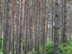 -长春净月潭风景名胜区
