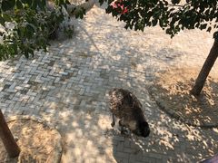 -武汉紫薇都市田园