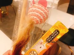 -飞行喵MR PILOT|猫舍·猫咖(静安大融城店)