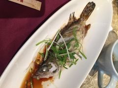iphone_upload_pic-十八棵（老龙井）御茶园(老龙井店)
