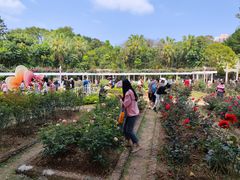 -人民公园(罗湖区)