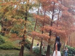 -云溪植物园