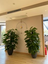 -酉嘉瑜伽YO+YOGA