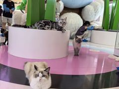 -天河领展广场