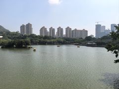-珠海圆明新园