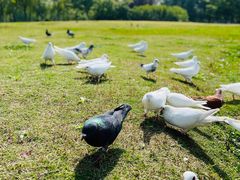 -东台西溪天仙缘景区