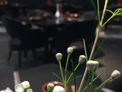 -鑫悦诚府·新鲁菜·餐厅(趵突泉店)