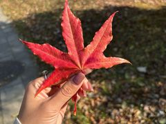 -河鱼鲜特色农家院