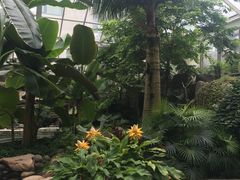 -大东方海鲜酒楼(小武基桥店)