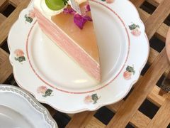 -时间逆·烘焙