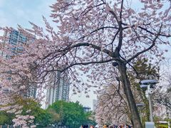 -红星桥(地铁站)
