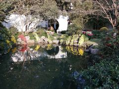 -杭州植物园