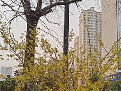 -迎泽公园