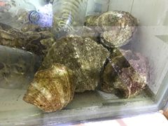 -海盗餐厅