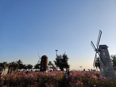 -玫瑰海岸文化旅游度假区