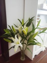 -美肤盾祛痘·问题肌头疗管理中心