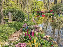 -上海共青森林公园