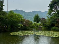-中国茶叶博物馆(双峰馆区)