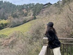 -敬亭山风景名胜区