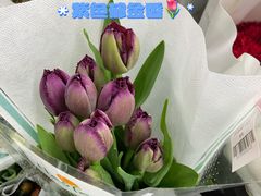 -循礼门鲜花花市(武汉循礼门店)