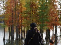 -白鹭湾湿地公园