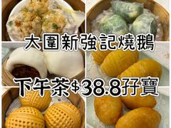 -沙田新强记烧鹅海鲜酒家