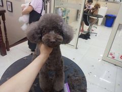 -多卡布奇宠物生活馆(上林世家店)
