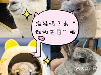 魔都春季溜娃，“动物王国”不容错过