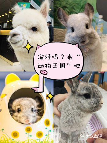 魔都春季溜娃，“动物王国”不容错过