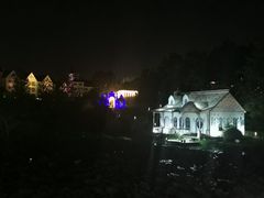 -大塘金香草谷