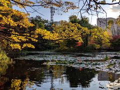 -北海道厅旧本厅舍(旧本庁舎)