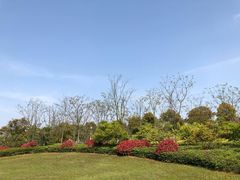 -滨江生态公园