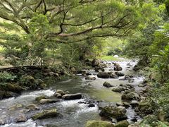 -广州市石门国家森林公园