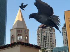 -中航城君尚购物中心