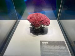 -重庆欢乐海底世界