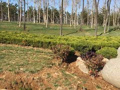 -羊亭河湿地公园