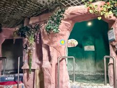 -兴芮温泉度假区