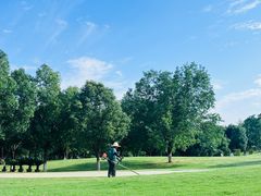 -盘龙城国家考古遗址公园