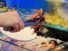 -苏格里岛自助烤肉海鲜火锅(成都金牛万达店)