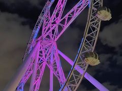 -墨尔本之星 观景摩天轮