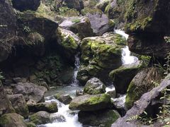 -武隆天坑地缝国家地质公园