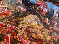 -岗上渣渣老火锅(两路口店)