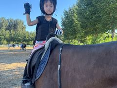 -桃酥大王(北关西路店)