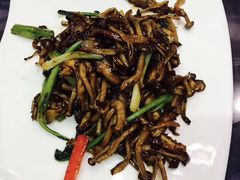 -河畔春天时尚餐厅