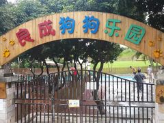 -良成狗狗乐园